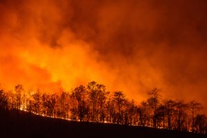 Natuurbrand Californie